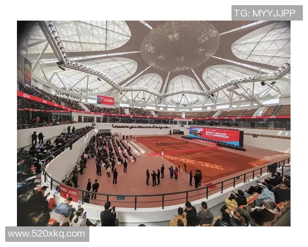 深圳网球队全运会表现评析经验与实力的完美结合